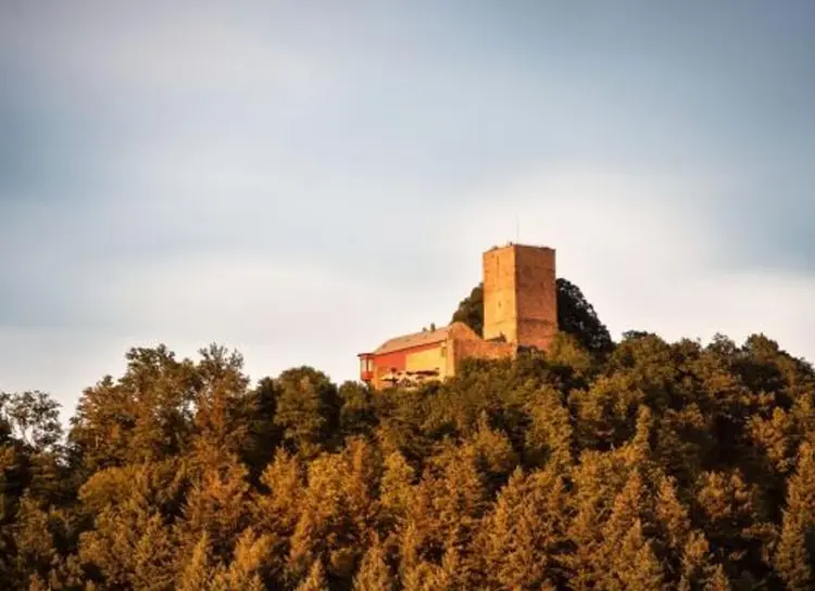 Foto: Staatliche Schlösser und Gärten Baden-Württemberg, Günther Bayerl Burgruine Yburg