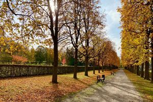 Schloss und Schlossgarten Weikersheim, Kastanienallee im Herbst