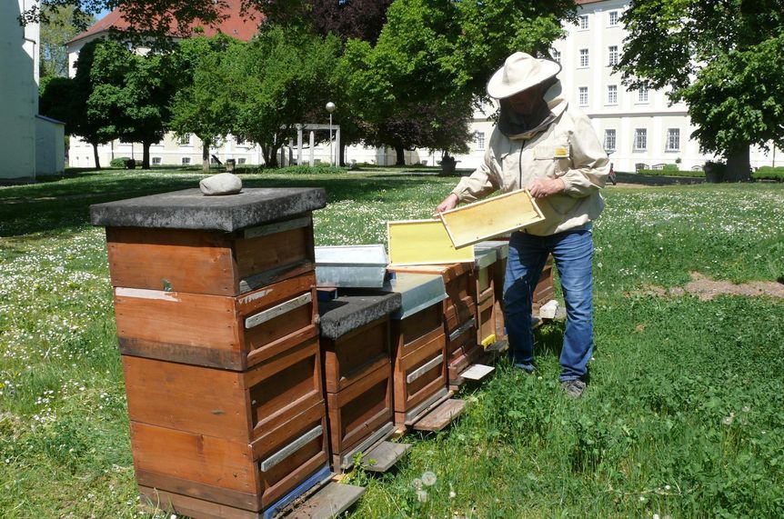 Foto: Staatliche Schlösser und Gärten Baden-Württemberg, Joachim Moll Kloster Schussenried