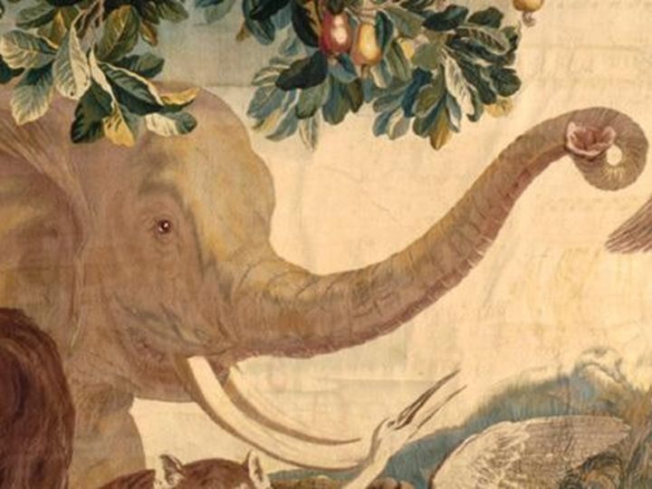 Foto: Staatliche Schlösser und Gärten Baden-Württemberg, Arnim Weischer Die Tiere Neuindiens