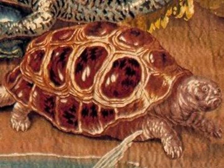 Foto: Staatliche Schlösser und Gärten Baden-Württemberg, Arnim Weischer Indianische Jäger