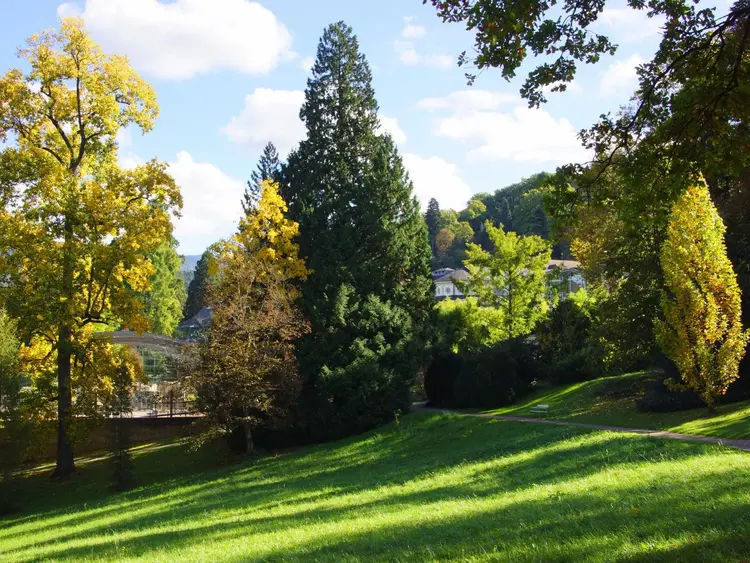 Foto: Badenweiler Tourismus GmbH Kur- und Schlosspark Badenweiler
