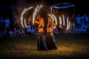 Residenzschloss Mergentheim, Event, „Annotopia“-Festival